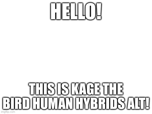 HELLO! THIS IS KAGE THE BIRD HUMAN HYBRIDS ALT! | image tagged in hello | made w/ Imgflip meme maker