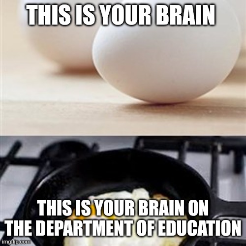 Brain on Dept of Ed | THIS IS YOUR BRAIN; THIS IS YOUR BRAIN ON THE DEPARTMENT OF EDUCATION | image tagged in brain brain on drugs egg | made w/ Imgflip meme maker