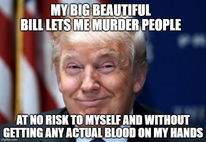 donald trump | MY BIG BEAUTIFUL BILL LETS ME MURDER PEOPLE AT NO RISK TO MYSELF AND WITHOUT GETTING ANY ACTUAL BLOOD ON MY HANDS | image tagged in donald trump | made w/ Imgflip meme maker
