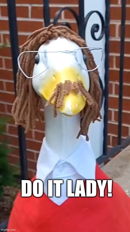 Do it lady! | DO IT LADY! | image tagged in do,it,lady,chit,goose | made w/ Imgflip meme maker