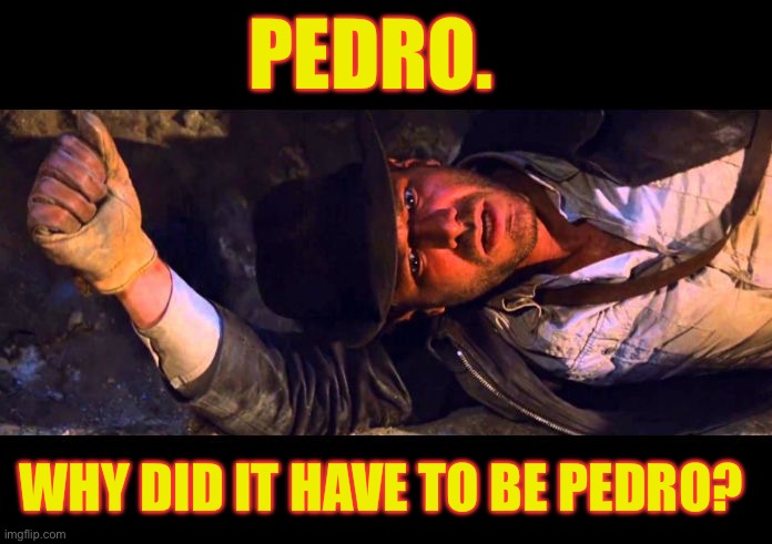 Why did it have to be Pedro? | PEDRO. WHY DID IT HAVE TO BE PEDRO? | image tagged in indiana jones why'd it have to be snakes | made w/ Imgflip meme maker