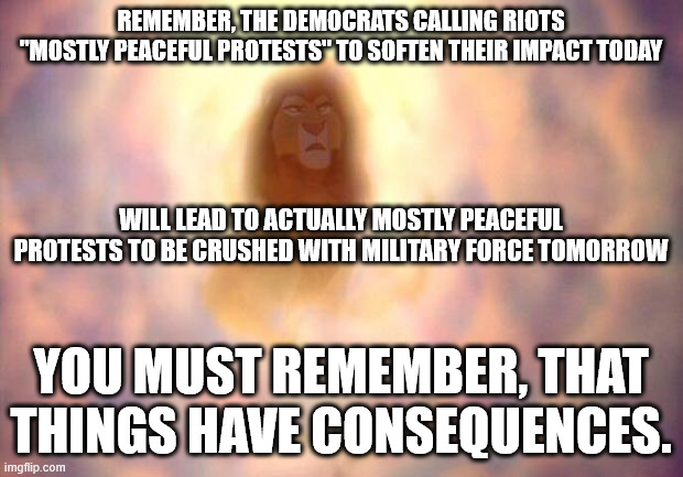 Words have meaning, Twisting Words around have consequences. | REMEMBER, THE DEMOCRATS CALLING RIOTS "MOSTLY PEACEFUL PROTESTS" TO SOFTEN THEIR IMPACT TODAY; WILL LEAD TO ACTUALLY MOSTLY PEACEFUL PROTESTS TO BE CRUSHED WITH MILITARY FORCE TOMORROW; YOU MUST REMEMBER, THAT THINGS HAVE CONSEQUENCES. | image tagged in remember the lion king | made w/ Imgflip meme maker