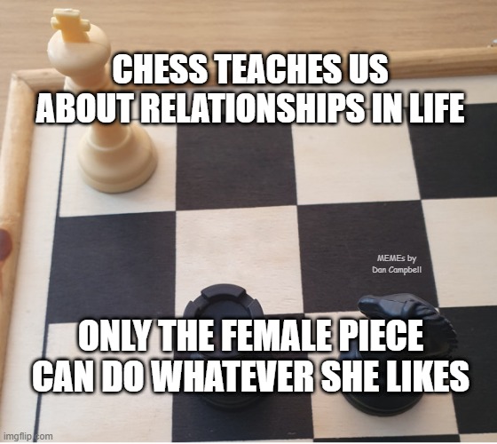 Check mate | CHESS TEACHES US ABOUT RELATIONSHIPS IN LIFE; MEMEs by Dan Campbell; ONLY THE FEMALE PIECE CAN DO WHATEVER SHE LIKES | image tagged in check mate | made w/ Imgflip meme maker