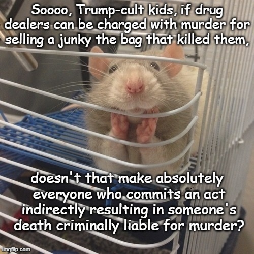Take some legislation, stir in a few cups of malicious intent, smother in Presidential Immunity et viola -free pass to murder. | Soooo, Trump-cult kids, if drug dealers can be charged with murder for selling a junky the bag that killed them, doesn't that make absolutely 
everyone who commits an act
indirectly resulting in someone's
death criminally liable for murder? | image tagged in soooo,gop death cult,accessory to murder,voluntary manslaughter,double standards | made w/ Imgflip meme maker