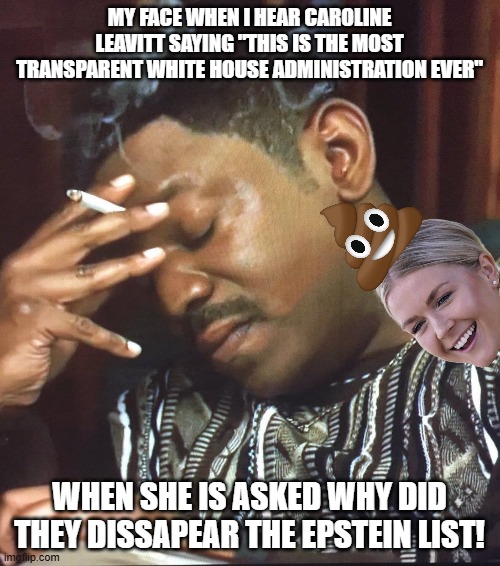 most transparent WH | MY FACE WHEN I HEAR CAROLINE LEAVITT SAYING "THIS IS THE MOST TRANSPARENT WHITE HOUSE ADMINISTRATION EVER"; WHEN SHE IS ASKED WHY DID THEY DISSAPEAR THE EPSTEIN LIST! | image tagged in jeffrey epstein,epstein,maga,trump,donald trump,nevertrump | made w/ Imgflip meme maker