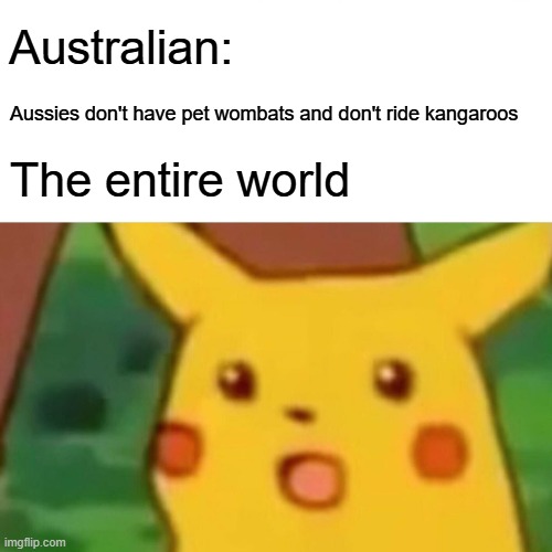 shocking | Australian:; Aussies don't have pet wombats and don't ride kangaroos; The entire world | image tagged in memes,surprised pikachu | made w/ Imgflip meme maker