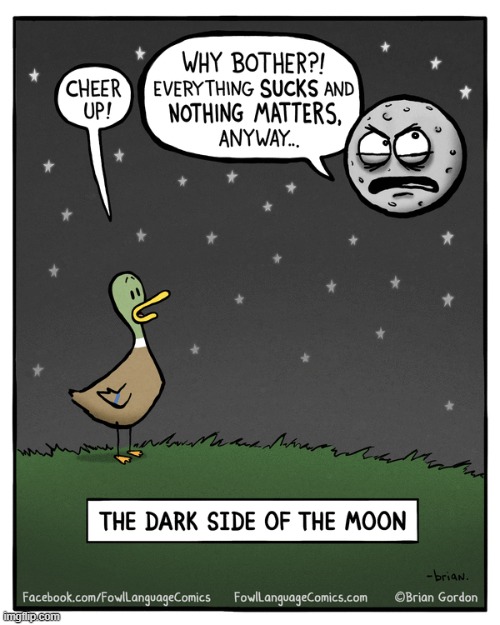 Fowl Language | image tagged in comics | made w/ Imgflip meme maker
