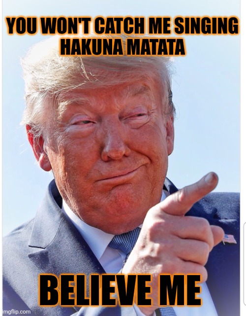 Trump pointing | YOU WON'T CATCH ME SINGING 
HAKUNA MATATA BELIEVE ME | image tagged in trump pointing | made w/ Imgflip meme maker