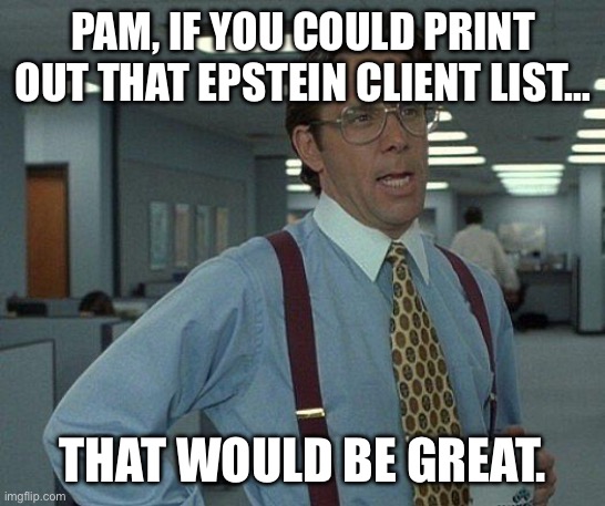 Epstein Client List Print | PAM, IF YOU COULD PRINT OUT THAT EPSTEIN CLIENT LIST…; THAT WOULD BE GREAT. | image tagged in yeah if you could | made w/ Imgflip meme maker