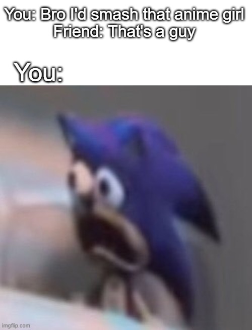 Has anyone done this or is it just me | You: Bro I'd smash that anime girl
Friend: That's a guy; You: | image tagged in traumatised sonic | made w/ Imgflip meme maker