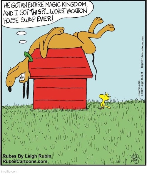Rubes | image tagged in comics,rubes,pluto,snoopy,house swap,woodstock | made w/ Imgflip meme maker