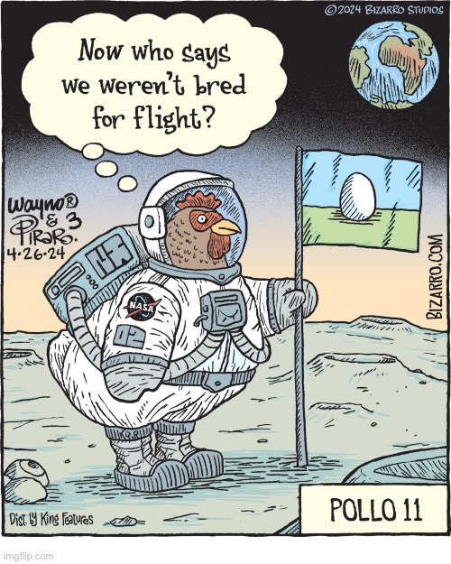 Bizarro Comics | image tagged in comics,bizarro comics,rooster astronaut | made w/ Imgflip meme maker