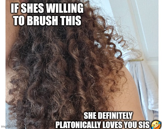 IF SHES WILLING TO BRUSH THIS; SHE DEFINITELY PLATONICALLY LOVES YOU SIS 🤣 | made w/ Imgflip meme maker