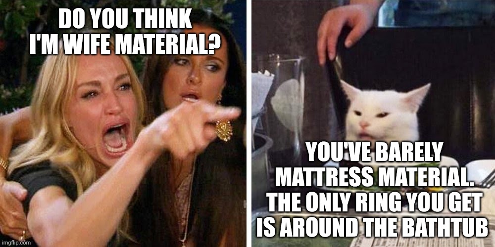 Smudge that darn cat with Karen | DO YOU THINK I'M WIFE MATERIAL? YOU'VE BARELY MATTRESS MATERIAL. THE ONLY RING YOU GET IS AROUND THE BATHTUB | image tagged in smudge that darn cat with karen | made w/ Imgflip meme maker