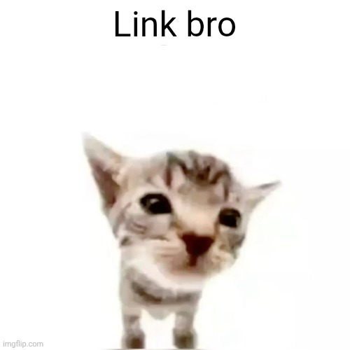 I beg your finest pardon | Link bro | image tagged in i beg your finest pardon | made w/ Imgflip meme maker