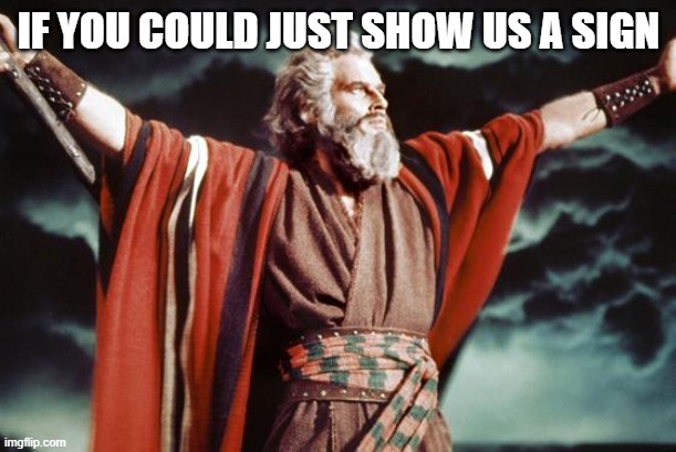 punny moses | IF YOU COULD JUST SHOW US A SIGN | image tagged in punny moses | made w/ Imgflip meme maker