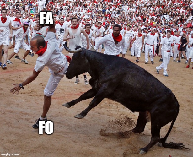Mess with the bull, get the horns ... or something | FA; FO | image tagged in bulls,running,spain | made w/ Imgflip meme maker