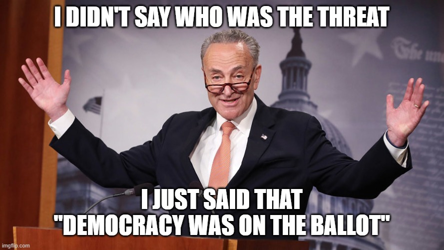 Chuck Schumer | I DIDN'T SAY WHO WAS THE THREAT I JUST SAID THAT "DEMOCRACY WAS ON THE BALLOT" | image tagged in chuck schumer | made w/ Imgflip meme maker