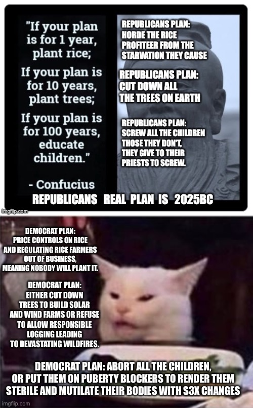 DEMOCRAT PLAN: PRICE CONTROLS ON RICE AND REGULATING RICE FARMERS OUT OF BUSINESS, MEANING NOBODY WILL PLANT IT. DEMOCRAT PLAN: EITHER CUT DOWN TREES TO BUILD SOLAR AND WIND FARMS OR REFUSE TO ALLOW RESPONSIBLE LOGGING LEADING TO DEVASTATING WILDFIRES. DEMOCRAT PLAN: ABORT ALL THE CHILDREN, OR PUT THEM ON PUBERTY BLOCKERS TO RENDER THEM STERILE AND MUTILATE THEIR BODIES WITH S3X CHANGES | image tagged in white dinner table cat | made w/ Imgflip meme maker