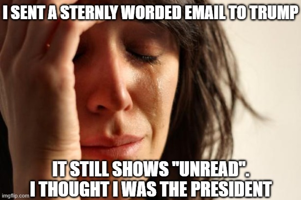 First World Problems Meme | I SENT A STERNLY WORDED EMAIL TO TRUMP IT STILL SHOWS "UNREAD".
I THOUGHT I WAS THE PRESIDENT | image tagged in memes,first world problems | made w/ Imgflip meme maker