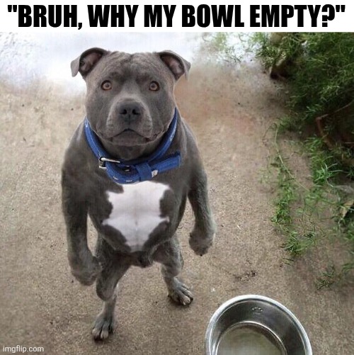 Bruh, Why My Bowl Empty? | "BRUH, WHY MY BOWL EMPTY?" | image tagged in chrisjoines1 | made w/ Imgflip meme maker