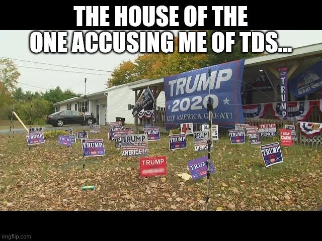 Tds accuser | THE HOUSE OF THE ONE ACCUSING ME OF TDS... | image tagged in tds accuser | made w/ Imgflip meme maker