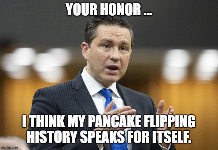 canadian politics | image tagged in political meme | made w/ Imgflip meme maker