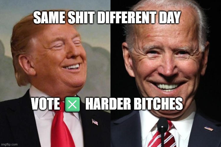 Trump and Biden | SAME SHIT DIFFERENT DAY; VOTE ❎ HARDER BITCHES | image tagged in trump and biden | made w/ Imgflip meme maker