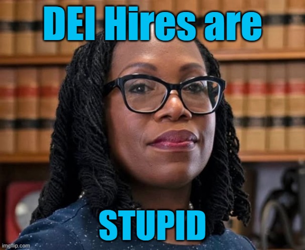 DEI Hires are STUPID | DEI Hires are; STUPID | image tagged in incompetent scotus justice | made w/ Imgflip meme maker