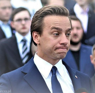 Bosak zdziwienie Blank Meme Template