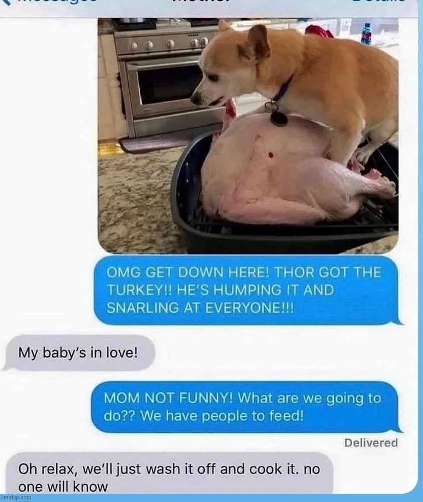 image tagged in afredo sauce,dogs,animals,turkey,food | made w/ Imgflip meme maker