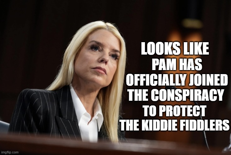 conspiracy to protect | LOOKS LIKE; PAM HAS OFFICIALLY JOINED THE CONSPIRACY; TO PROTECT THE KIDDIE FIDDLERS | image tagged in pam bondi,kiddie fiddlers,conspiracy,epstein | made w/ Imgflip meme maker
