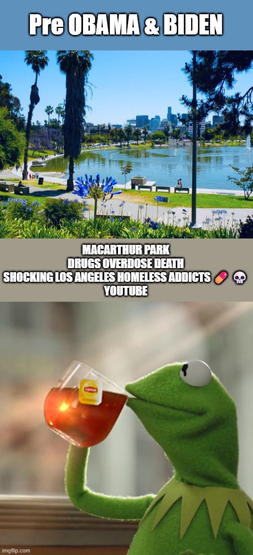 Pre OBAMA & BIDEN; MACARTHUR PARK DRUGS OVERDOSE DEATH SHOCKING LOS ANGELES HOMELESS ADDICTS 💊 💀
YOUTUBE | image tagged in memes,but that's none of my business | made w/ Imgflip meme maker
