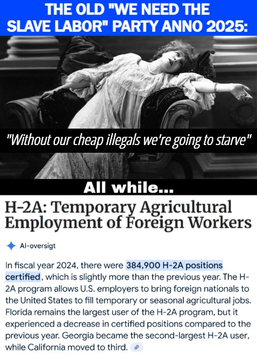 They opposed abolition then, and still do... | THE OLD "WE NEED THE SLAVE LABOR" PARTY ANNO 2025:; "Without our cheap illegals we're going to starve" | image tagged in illegal aliens,illegal immigration,deportation,american politics,democrats | made w/ Imgflip meme maker