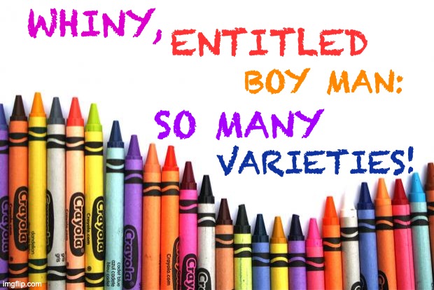 crayons | WHINY, VARIETIES! ENTITLED BOY MAN: SO MANY | image tagged in crayons | made w/ Imgflip meme maker