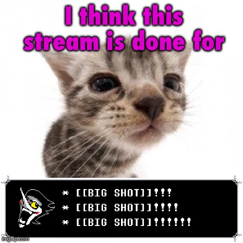 So many people have left due to the drama from earlier that you’ve pretty much killed the stream | I think this stream is done for | image tagged in el gatito,big shot,sans of topic | made w/ Imgflip meme maker