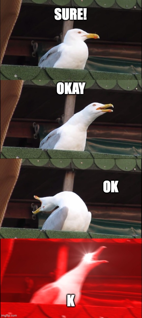 texting be like | SURE! OKAY; OK; K | image tagged in memes,inhaling seagull | made w/ Imgflip meme maker