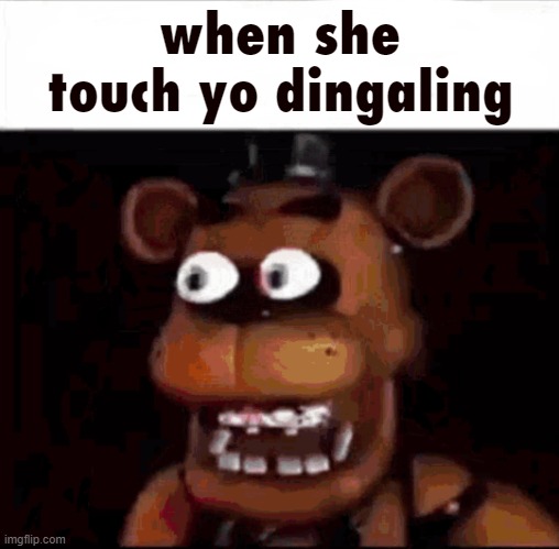 when she touch yo dingaling | when she touch yo dingaling | image tagged in shocked freddy fazbear | made w/ Imgflip meme maker
