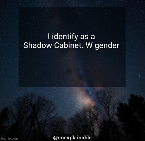 He said he was a gender! | I identify as a Shadow Cabinet. W gender | image tagged in it's simply unexplainable | made w/ Imgflip meme maker