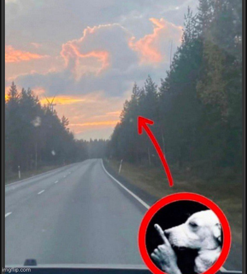 cloud I saw in tucumcari | image tagged in cloud,dog,funny,shhh | made w/ Imgflip meme maker