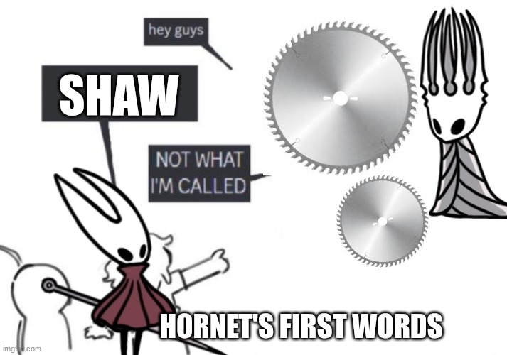 Silksong tomorrow guys I promise | SHAW; HORNET'S FIRST WORDS | image tagged in hey guys - not what i'm called,hollow knight,hornet,saw | made w/ Imgflip meme maker
