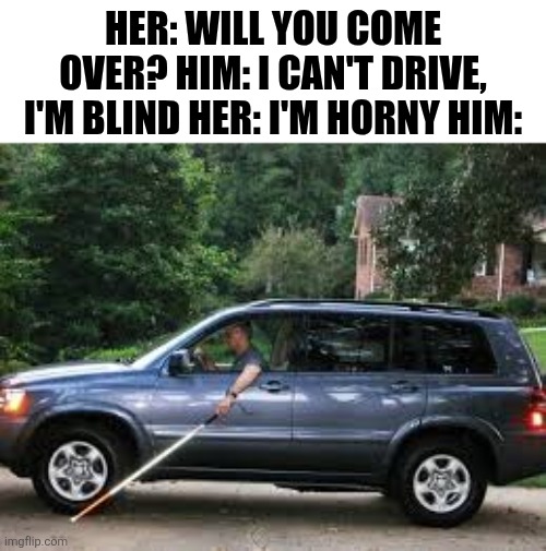 Her Will You Come Over? | HER: WILL YOU COME OVER? HIM: I CAN'T DRIVE, I'M BLIND HER: I'M HORNY HIM: | image tagged in chrisjoines1 | made w/ Imgflip meme maker