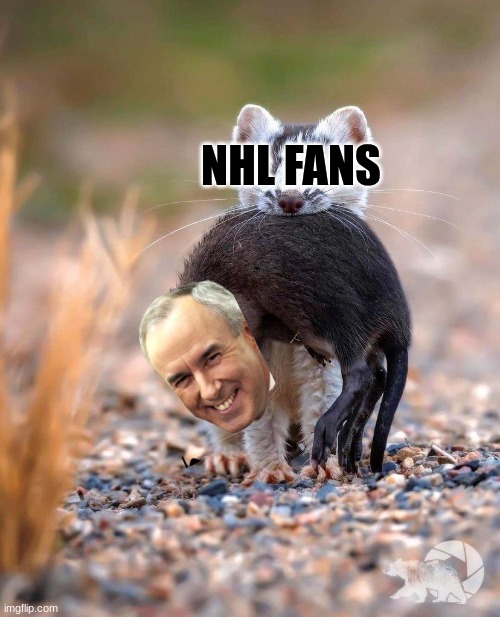 Ron MacLean meme | NHL FANS | image tagged in memes,nhl,hockey,canada,sports,woke | made w/ Imgflip meme maker