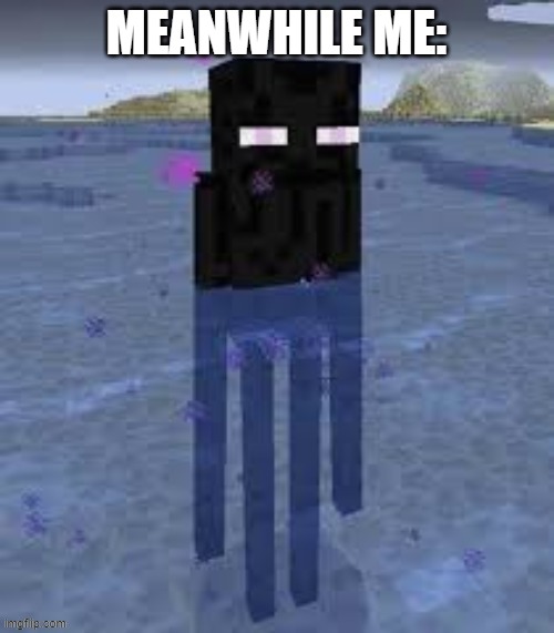 Cursed Enderman | MEANWHILE ME: | image tagged in cursed enderman | made w/ Imgflip meme maker