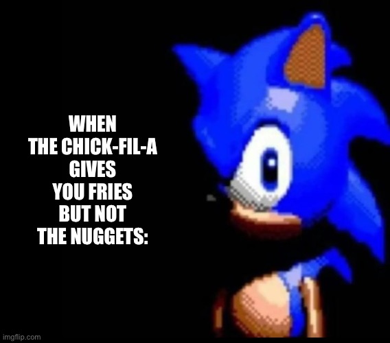 Fr tho DO YOU'RE STUPID JOB CHICK-FIL-A! | WHEN THE CHICK-FIL-A GIVES YOU FRIES BUT NOT THE NUGGETS: | image tagged in sonic stares | made w/ Imgflip meme maker