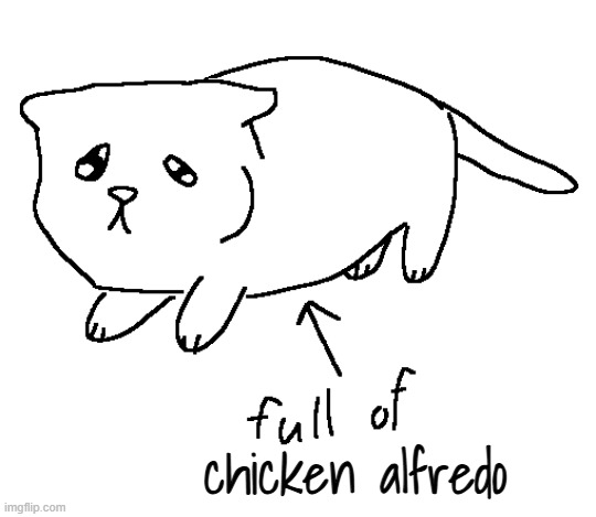 i eated the spaggers | chicken alfredo | image tagged in full of milk cat | made w/ Imgflip meme maker