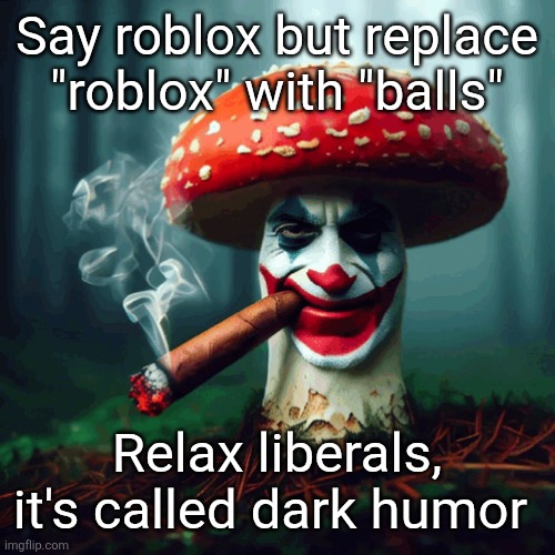 Say roblox but replace "roblox" with "balls"; Relax liberals, it's called dark humor | made w/ Imgflip meme maker