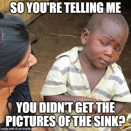 No Sink | SO YOU'RE TELLING ME; YOU DIDN'T GET THE PICTURES OF THE SINK? | image tagged in memes,third world skeptical kid | made w/ Imgflip meme maker