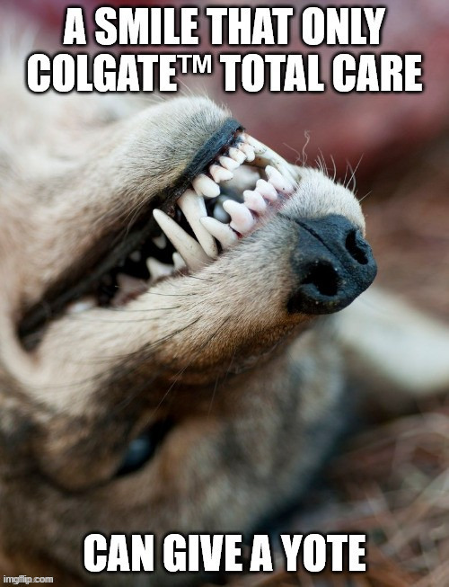 There is flouride in toothpaste. | image tagged in coyote | made w/ Imgflip meme maker