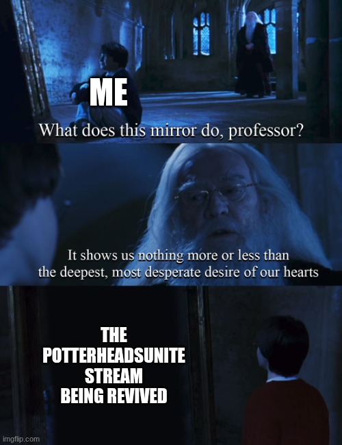 Seriously though, what happened to everyone?? | ME; THE POTTERHEADSUNITE STREAM BEING REVIVED | image tagged in harry potter mirror | made w/ Imgflip meme maker